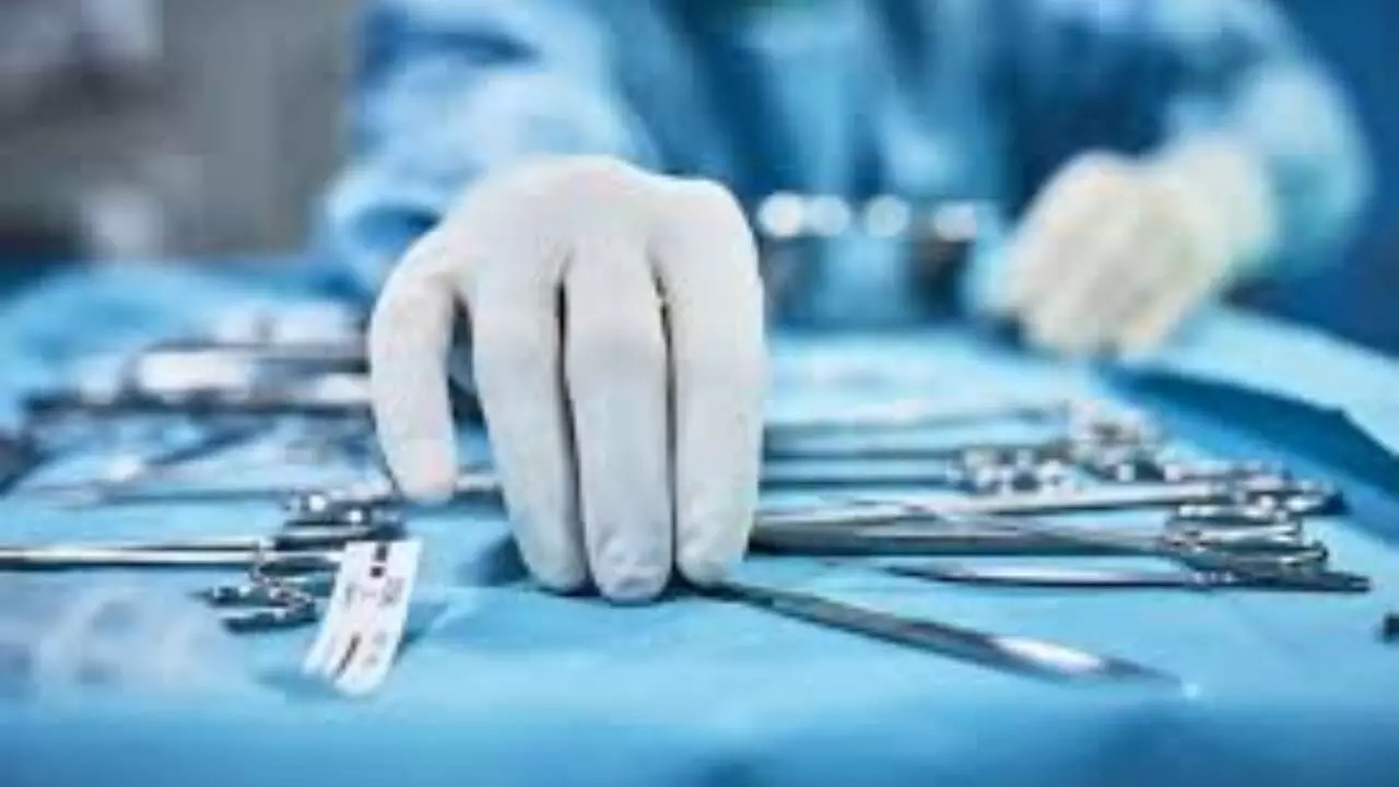 World Sepsis Day: Timely Treatment Key To Ward Life-Threatening Infection World Sepsis Day: Timely Treatment Key To Ward Life-Threatening Infection