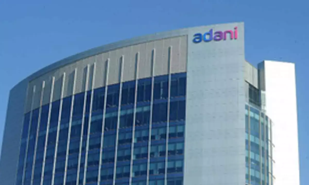 Funds Of Adani’s Proxy Co Frozen: Hindenburg