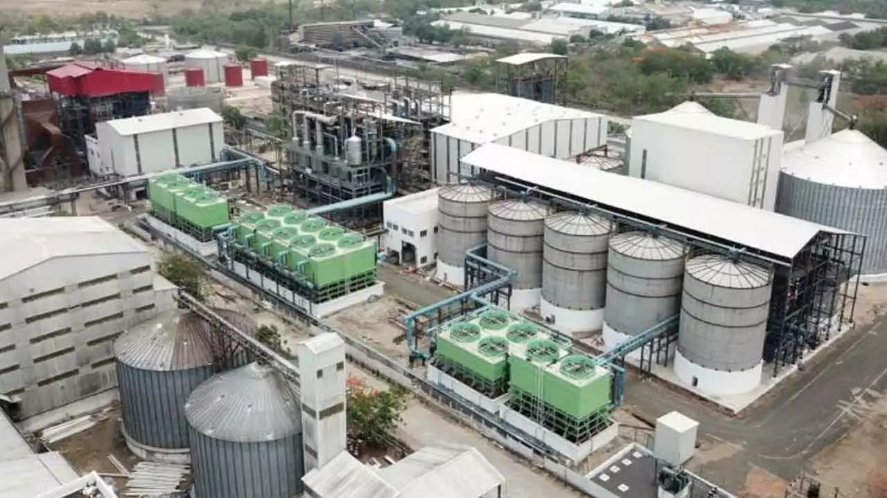 Regreen-Excel eyes Rs 350cr Regreen-Excel eyes Rs 350cr