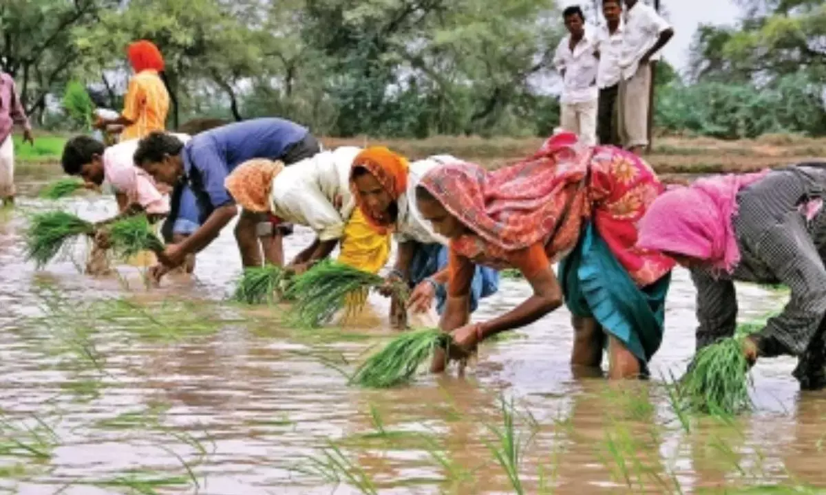 Monsoon bonanza: Agri-linked sectors to see 10-15 pc earnings growth this fiscal