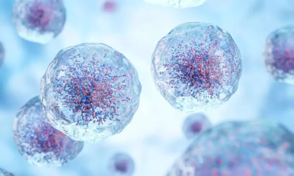 The New Frontier Of Life And Death