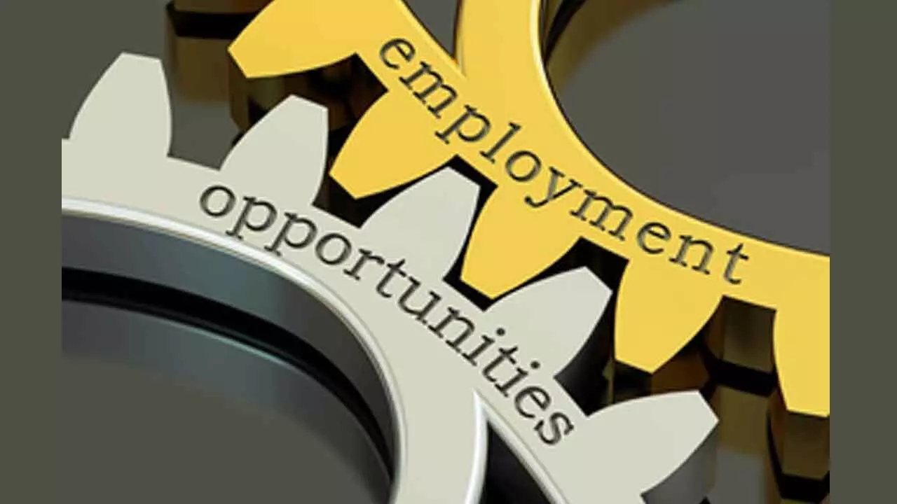 Revival of employment exchange system: Government plans key changes in job regulations Revival of employment exchange system: Government plans key changes in job regulations