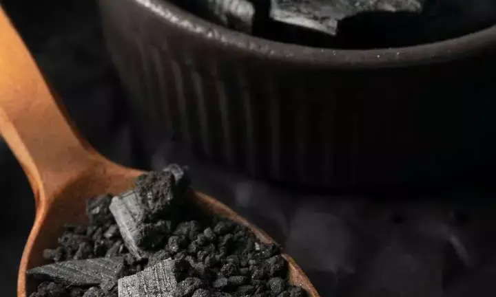 Panel recommends ‘whole mining’ in coal sector