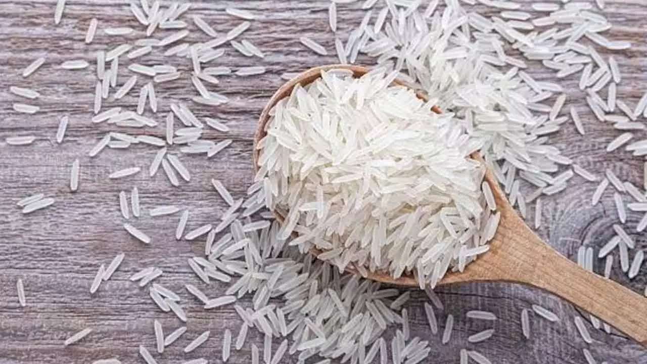 Rice Stocks Surge On MEP Decision Rice Stocks Surge On MEP Decision