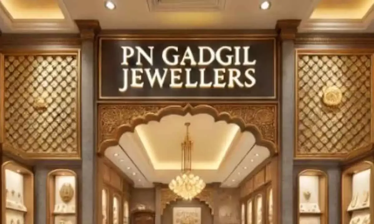 PN Gadgil Debuts With 74% Premium