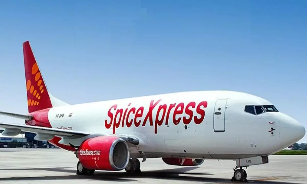 SpiceJet gets good response for share sale; statutory dues at over Rs600 cr