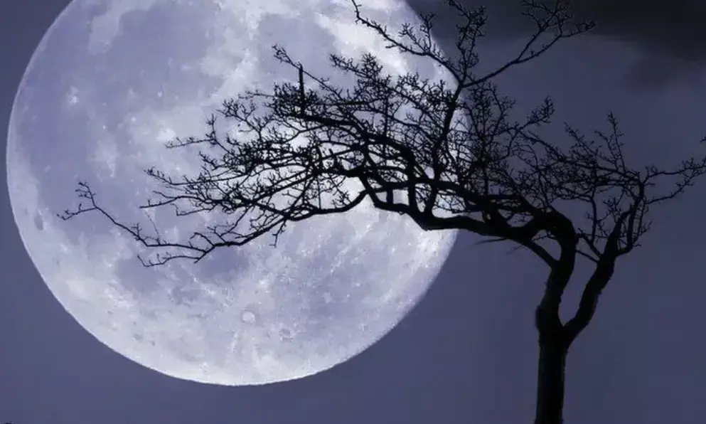 2024’s second looney supermoon: What’s next in the supermoon lineup?