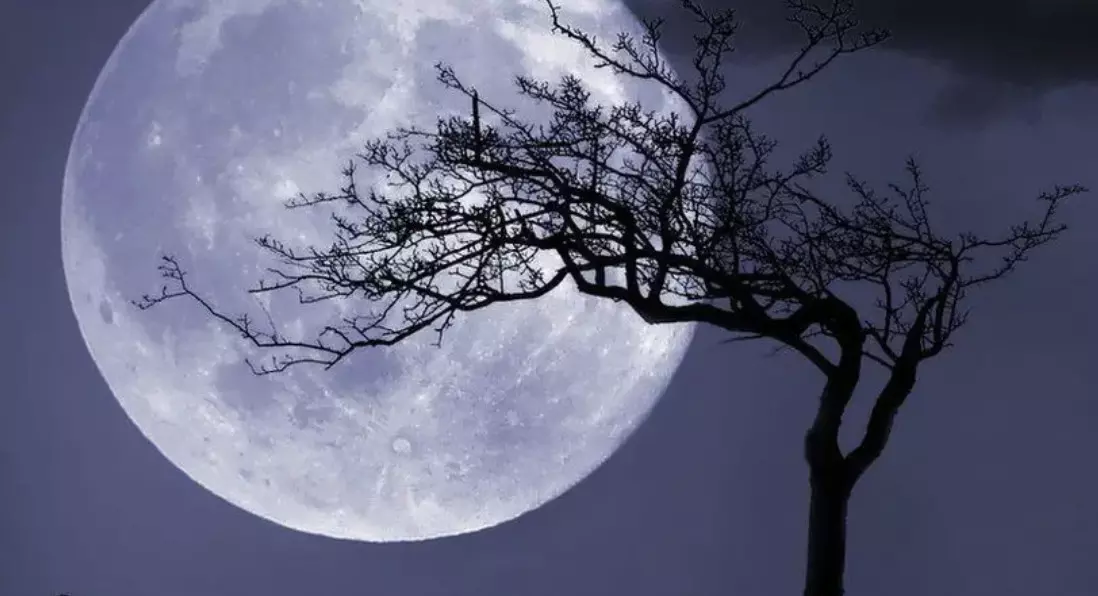 2024’s second looney supermoon: What’s next in the supermoon lineup? 2024’s second looney supermoon: What’s next in the supermoon lineup?