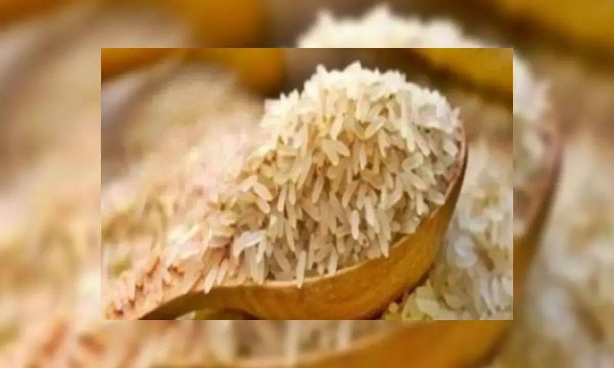 Indian Basmati Industry’s Sales To Grow 4 Pc To Hit Record Rs 70,000 Cr In FY25