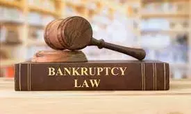 Why You Should Hire A Bankruptcy Lawyer For Your Case?