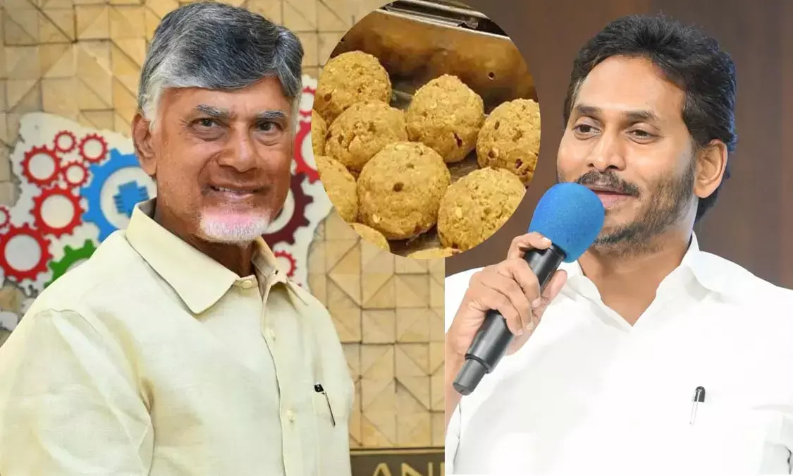 Bhumana flays CM Naidu for false allegations on TTD Laddu