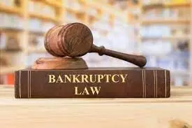 Why You Should Hire A Bankruptcy Lawyer For Your Case? Why You Should Hire A Bankruptcy Lawyer For Your Case?
