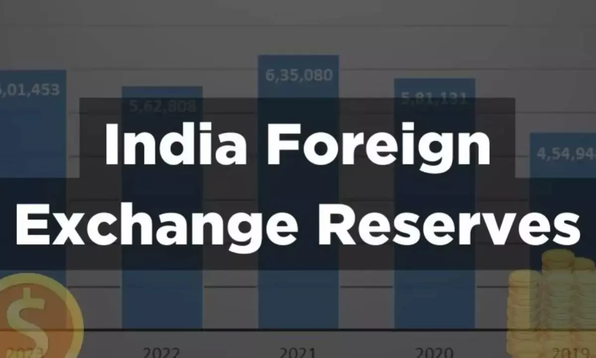 Most countries use foreign reserves as a cushion when hit by monetary policy shocks