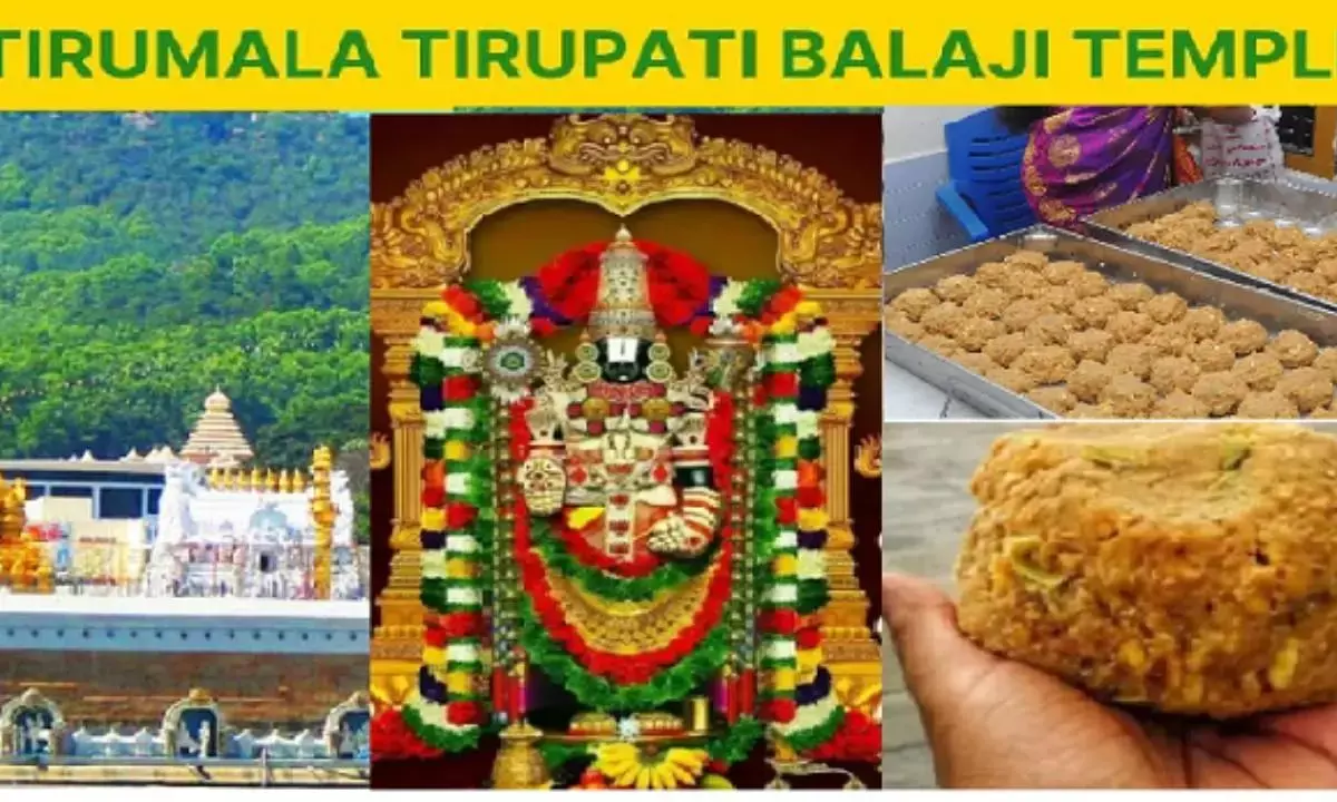 Purification Ceremony at Tirupati Temple Amidst Ghee Controversy