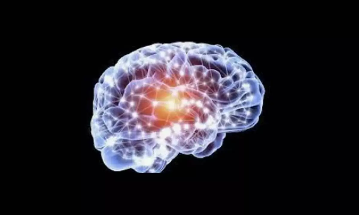 Antidepressants May Improve Brain Function, Memory: Study