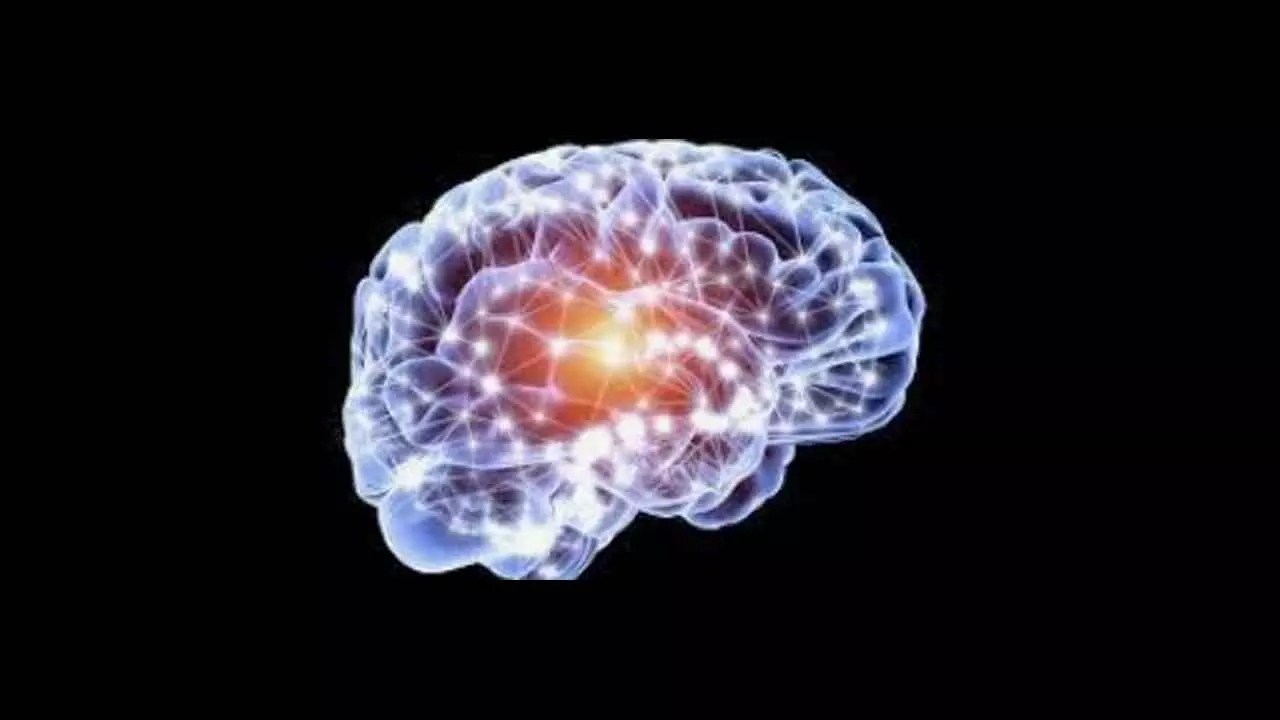 Antidepressants May Improve Brain Function, Memory: Study Antidepressants May Improve Brain Function, Memory: Study