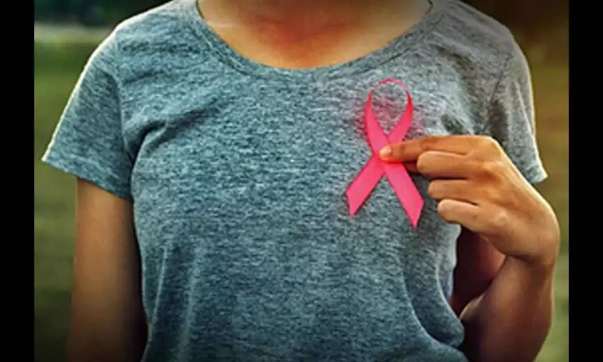 Researchers Identified 200 Potential Breast Carcinogens In Food Packaging