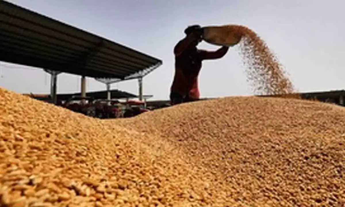 India Reaps Record Foodgrain Output