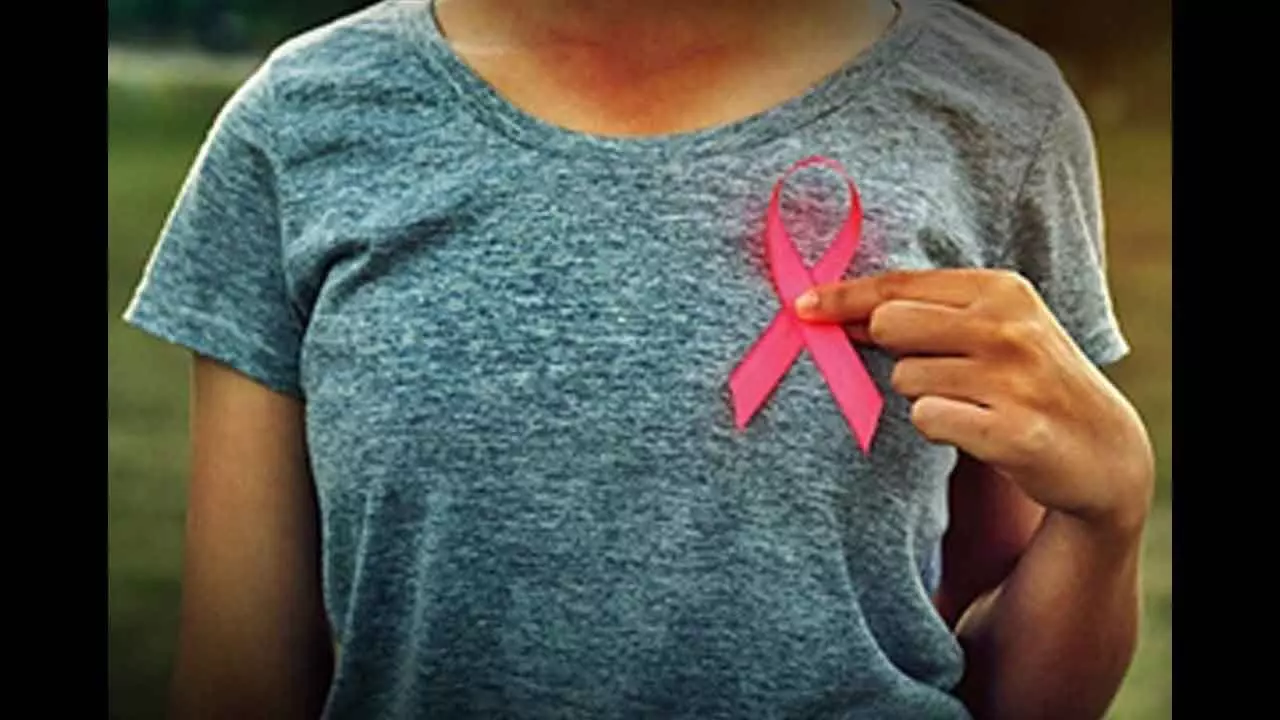 Researchers Identified 200 Potential Breast Carcinogens In Food Packaging Researchers Identified 200 Potential Breast Carcinogens In Food Packaging