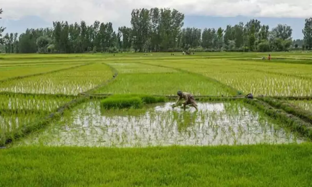 It’s Time To Reimagine Agricultural Education