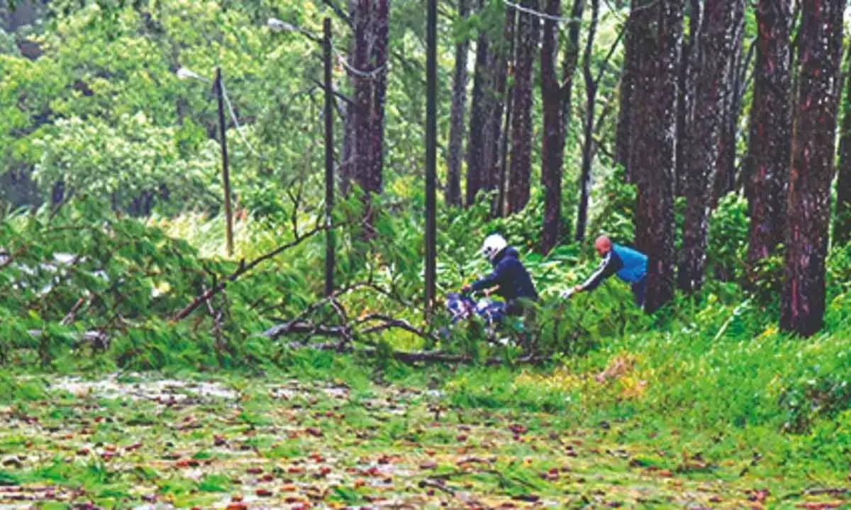 EAC-PM Proposes Reforms To Boost Agroforestry Sector