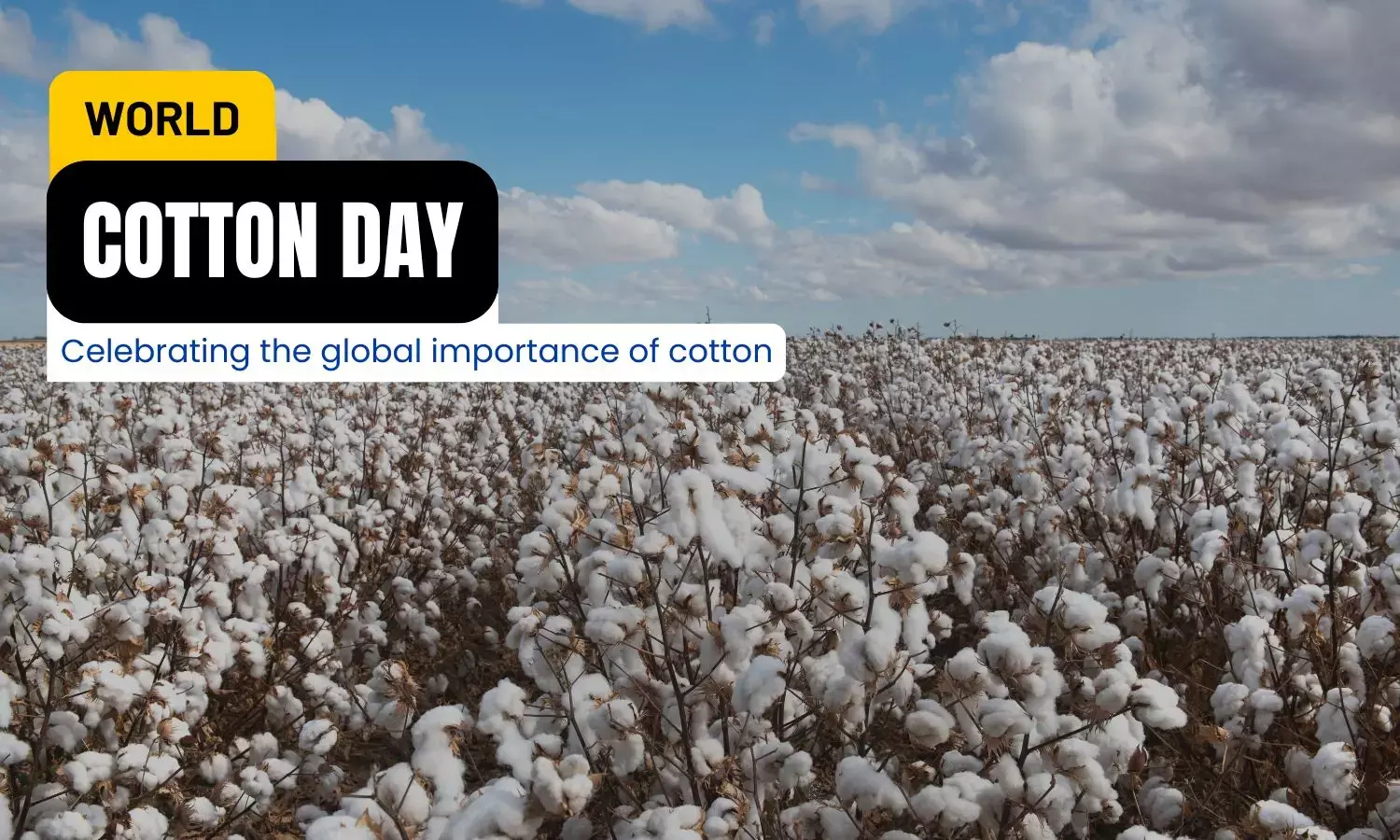 World Cotton Day: History, Significance, Facts, Challenges; All You Need To Know
