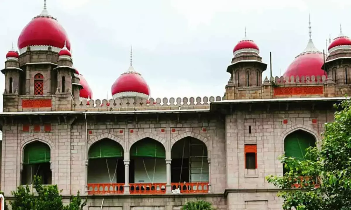 Telangana High Court Lifts Ban On Colorplast Systems