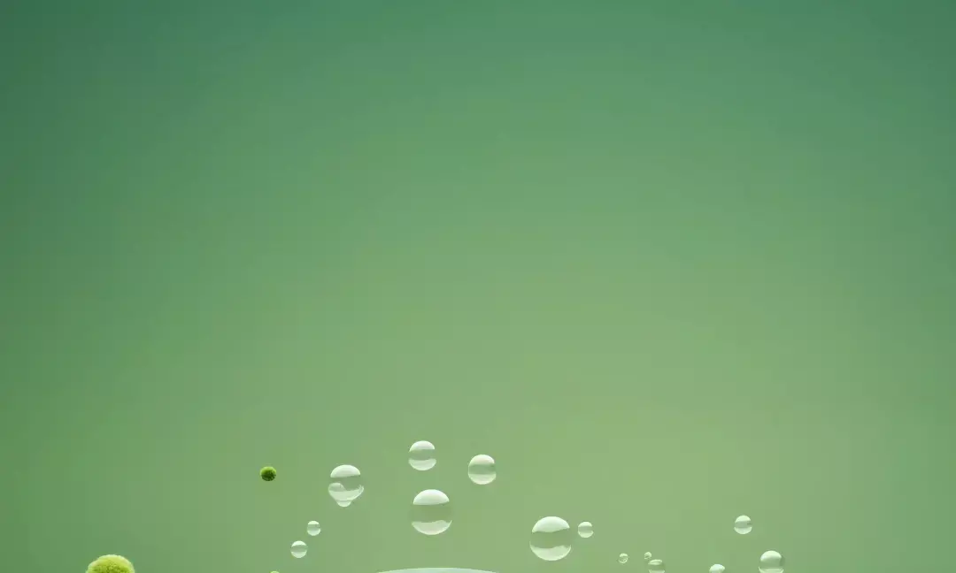 Upcoming EV Car Launches India 2024 | PART 1