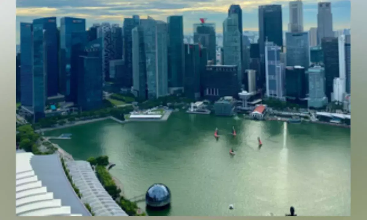 Singapores private economy expands for 19 consecutive months