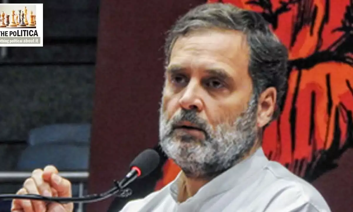 How Rahuls Statements Being Misused Against India