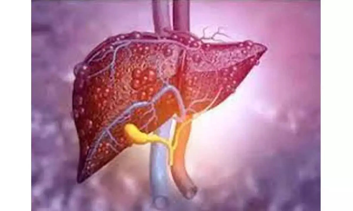 Liver tissue from space may transform traditional transplants