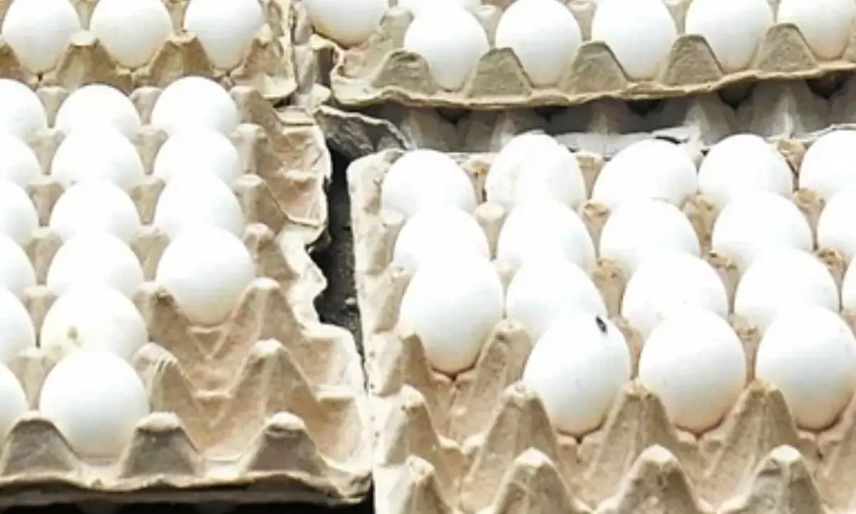 Fear about eggs spiking cholesterol levels ‘unwarranted’: Experts