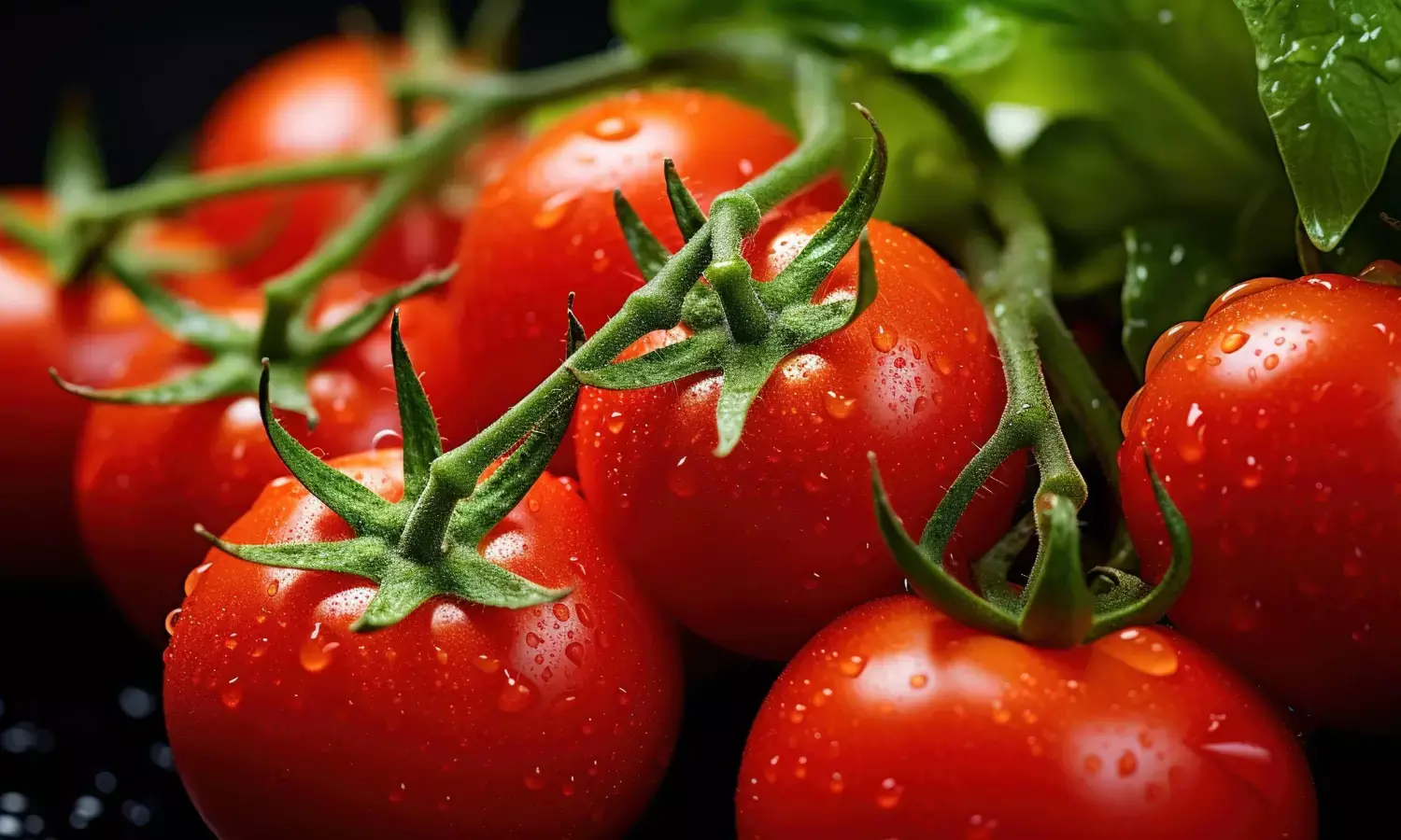 Hyderabad: Tomato Prices Soar Close to Rs 100 per Kg in Telangana