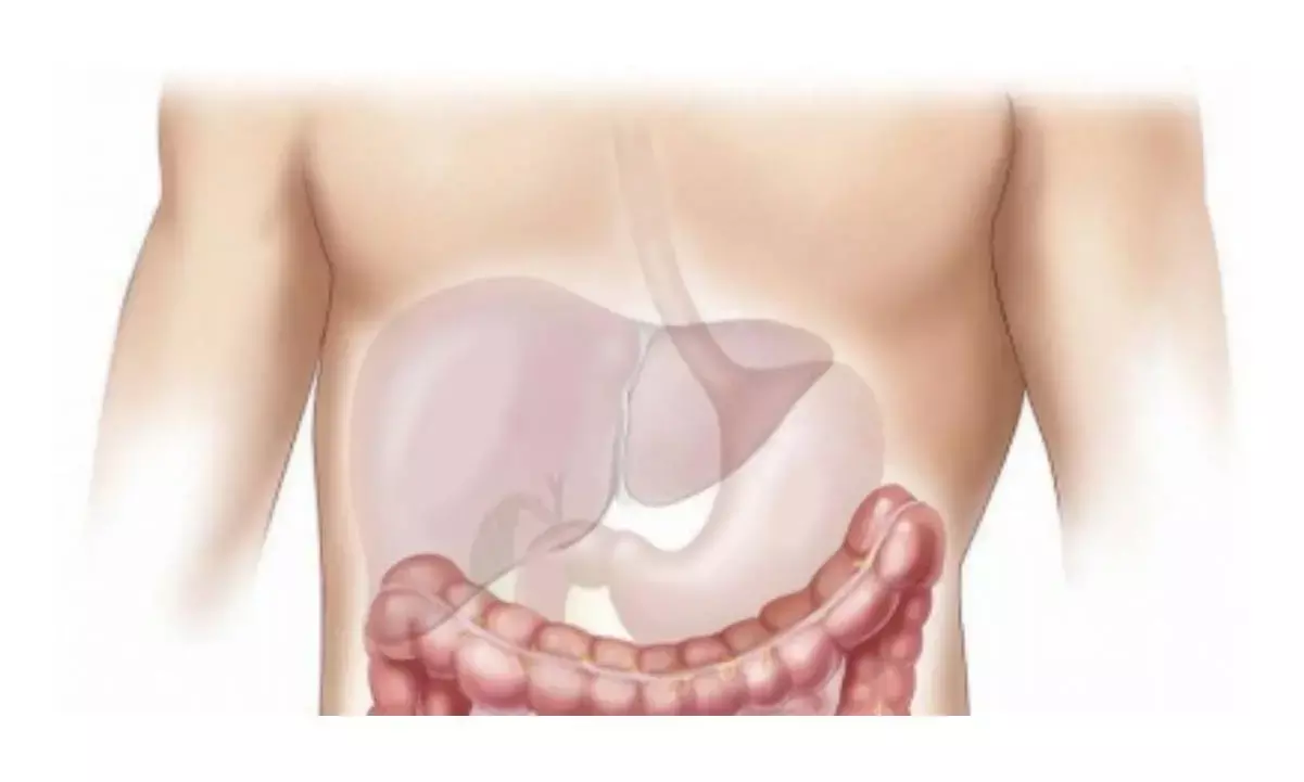 Japanese study shows gut hormones key to fight fatty liver disease