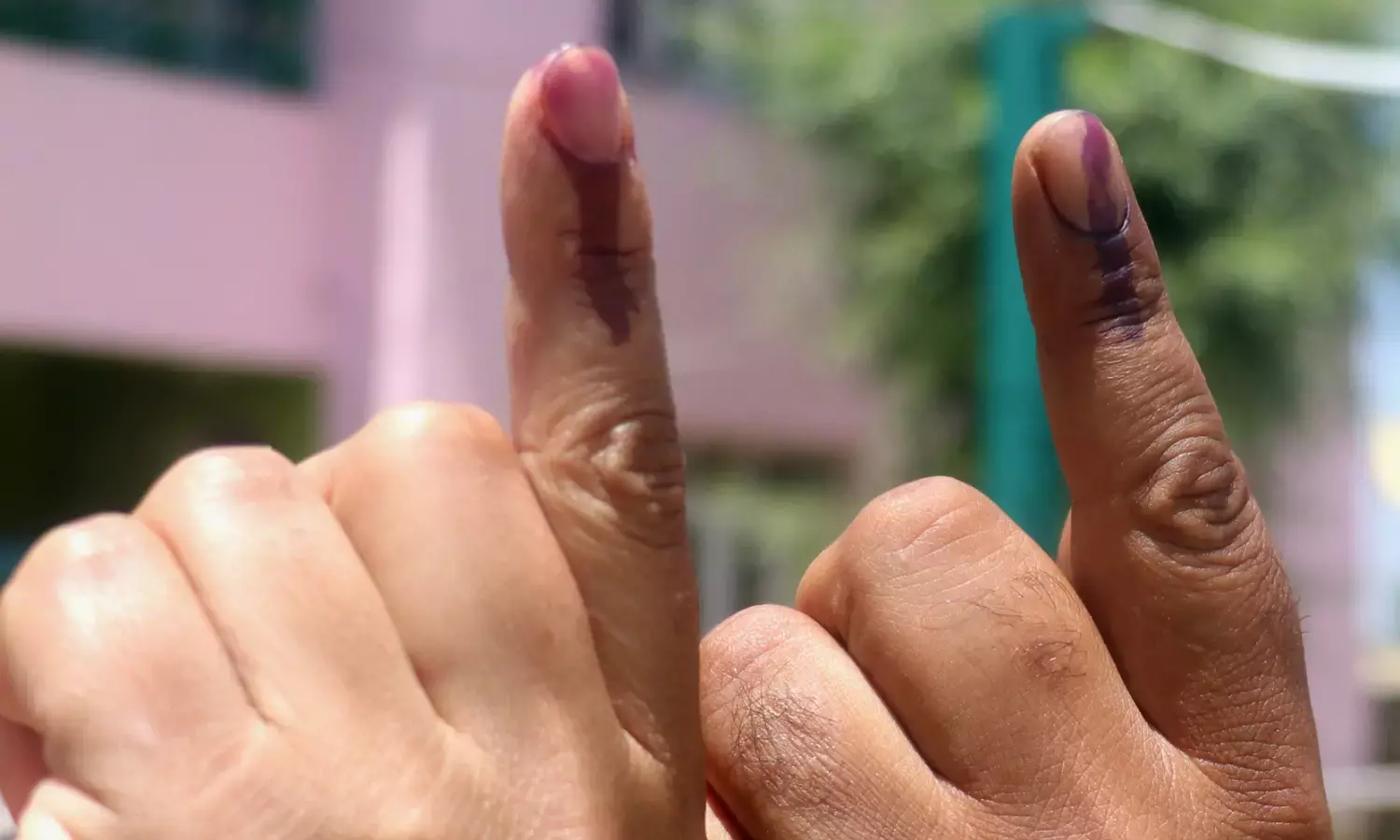 ECI Result 2024: Check Haryana and J&K Election Results on the Election Commissions Official Website