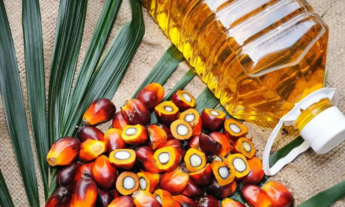 India’s Duty Hike On Palm Oil Temporary, Says Malaysia