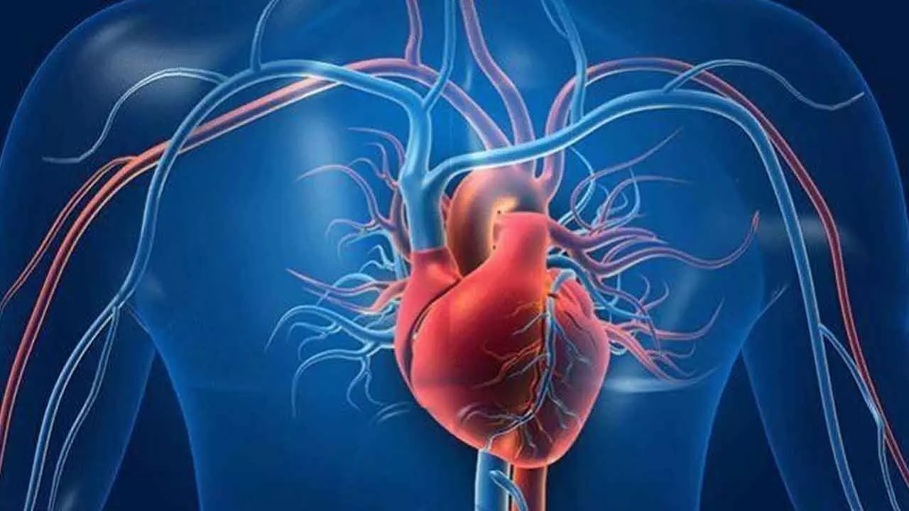 Rising Cardiac Arrest, A Sign For Young India To Focus On Right Approach To Life Rising Cardiac Arrest, A Sign For Young India To Focus On Right Approach To Life