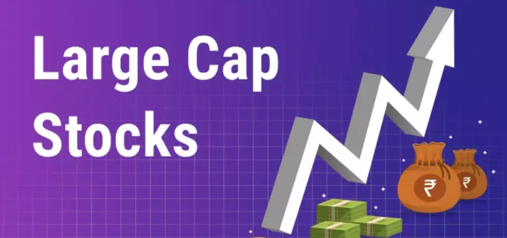 Nine large-cap schemes delivered nearly 20% annualized returns over the past 5 years Nine large-cap schemes delivered nearly 20% annualized returns over the past 5 years
