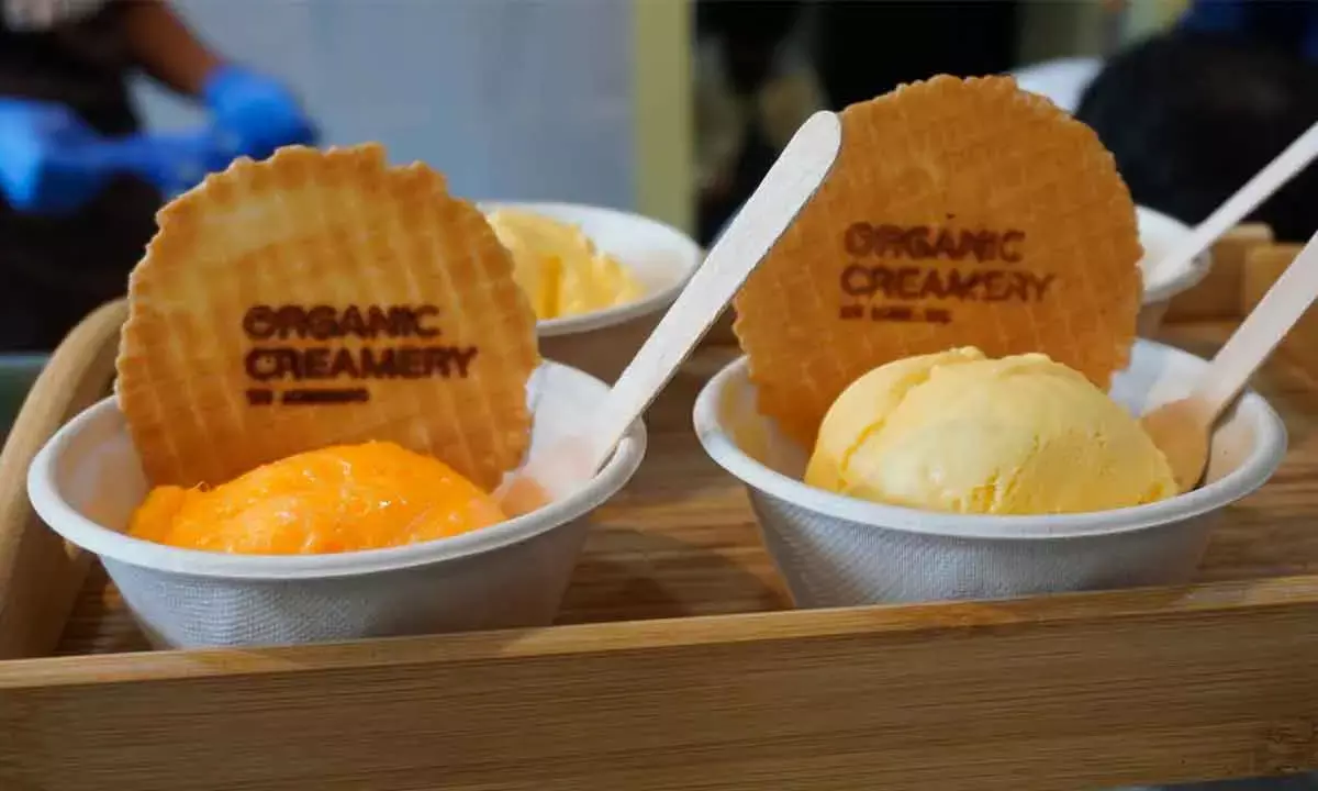 Iceberg Organic Ice Creams Launches First Company-Owned Outlet In Hyd