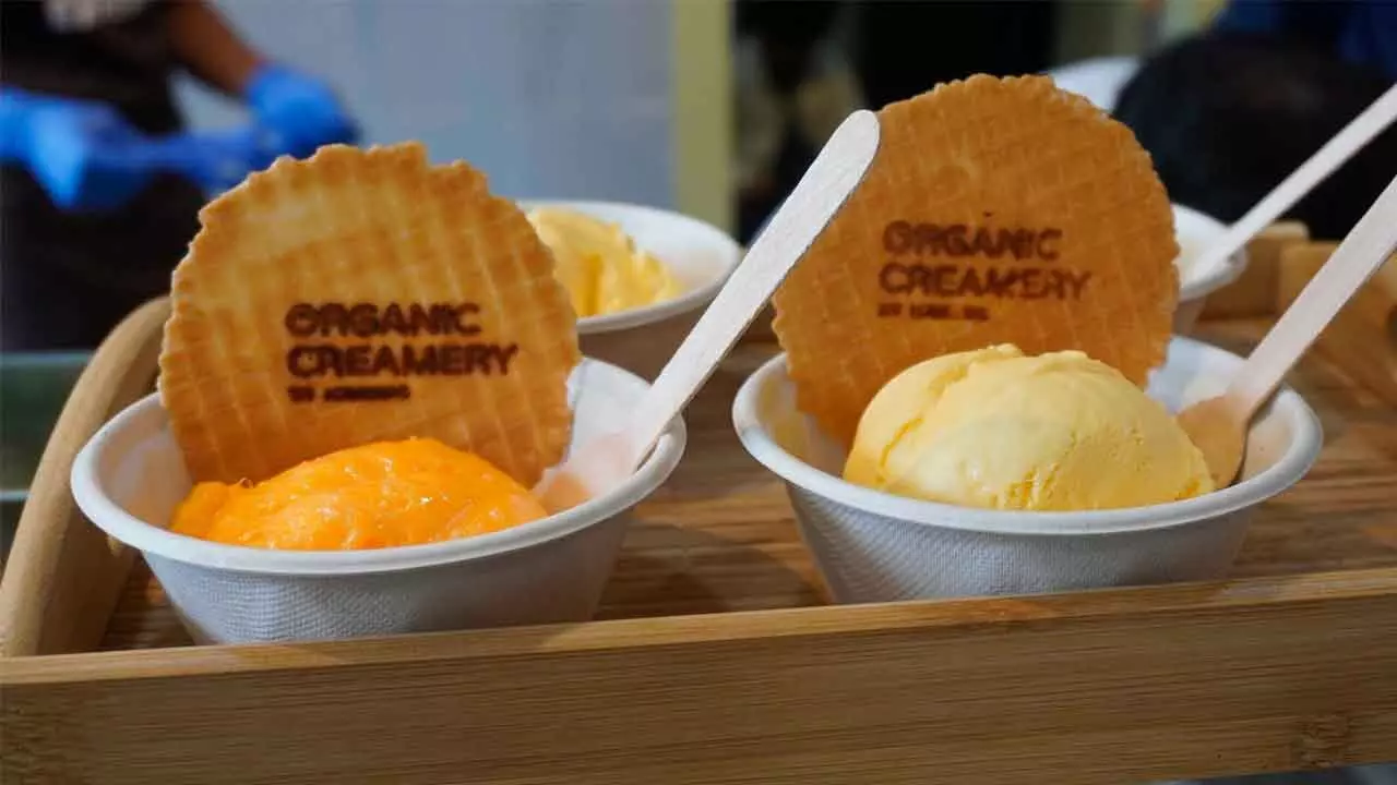 Iceberg Organic Ice Creams Launches First Company-Owned Outlet In Hyd Iceberg Organic Ice Creams Launches First Company-Owned Outlet In Hyd