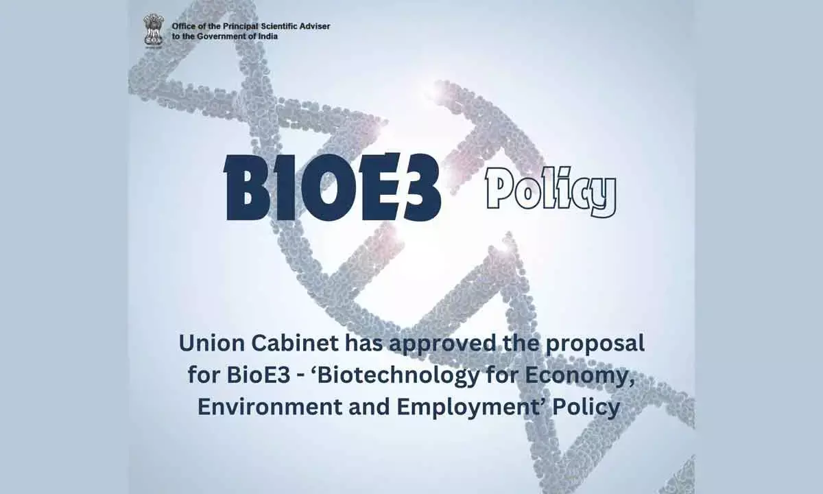 India’s Bioeconomy Projected To Reach $300 Billion By 2030, Says Minister