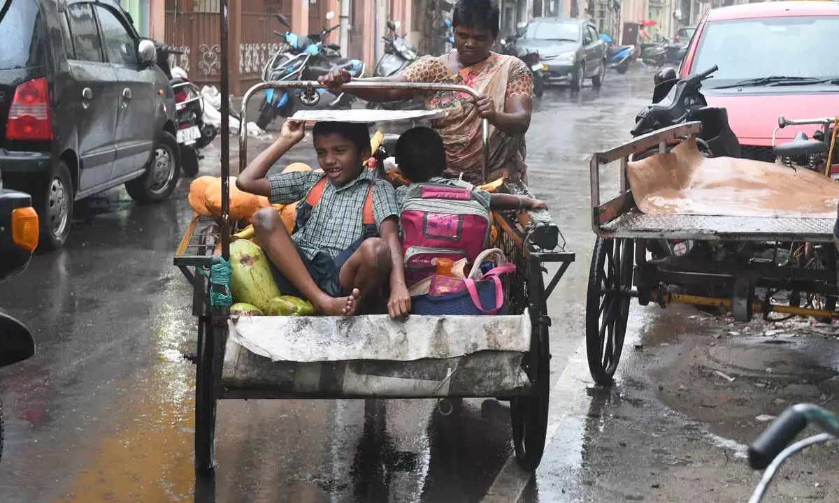 Chennais Heavy Rain Shuts Schools And Colleges
