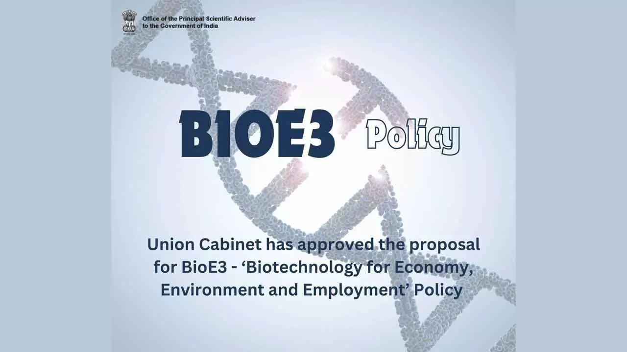 India’s Bioeconomy Projected To Reach $300 Billion By 2030, Says Minister India’s Bioeconomy Projected To Reach $300 Billion By 2030, Says Minister