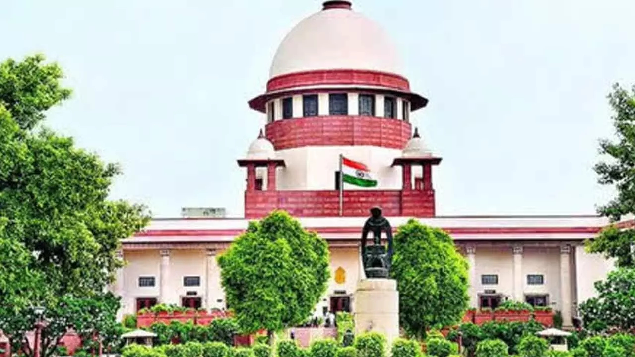 SC Grants Bail To Hyderabad Businessman In Excise Case SC Grants Bail To Hyderabad Businessman In Excise Case