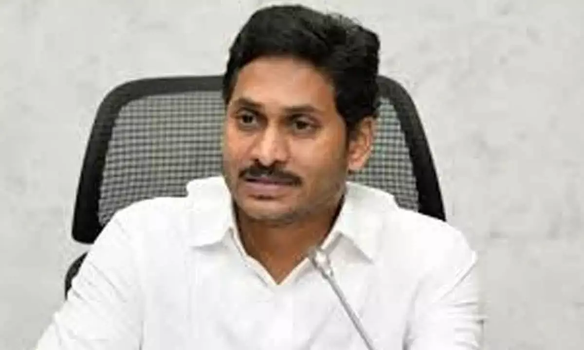 Liquor Mafia Calling The Shots: YSRCP