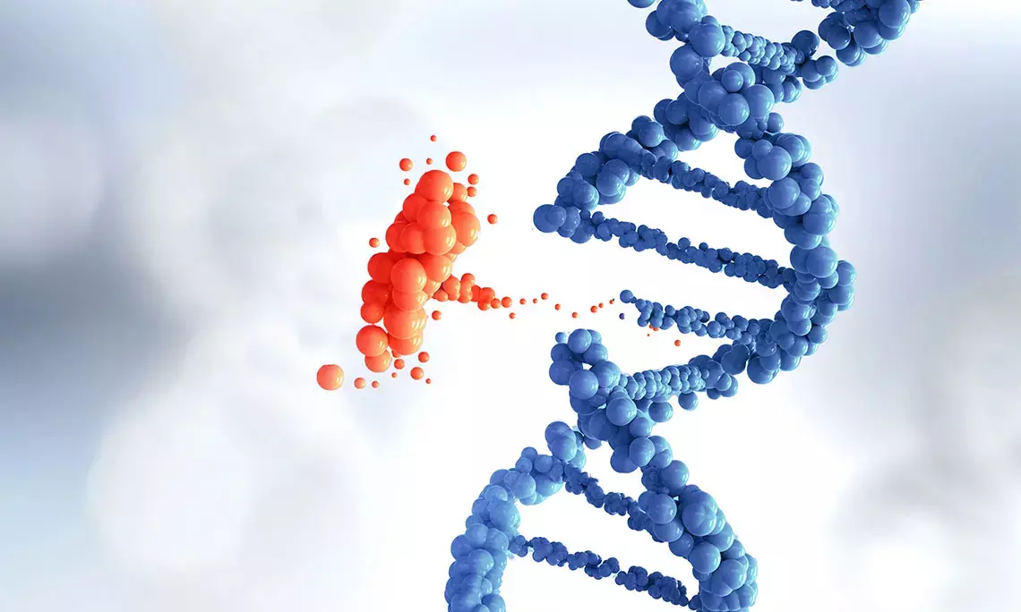 Internal caste marriage is consanguinity, according to CCMB scientists