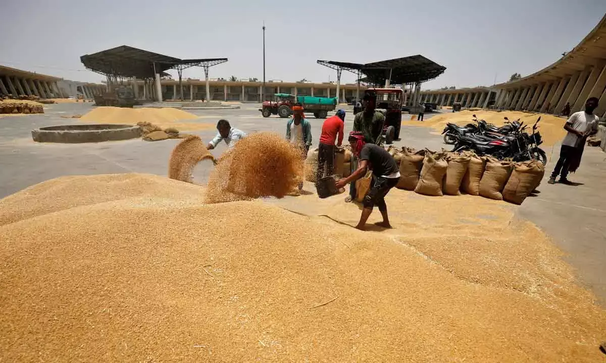 Cabinet Nod For MSP Hike For Rabi Crops