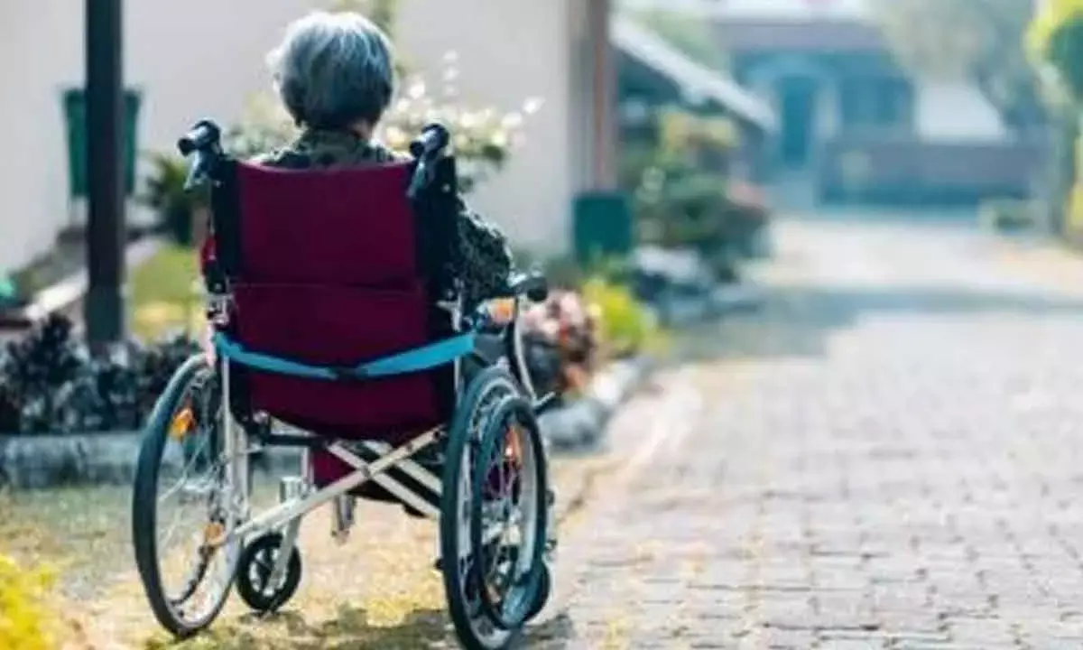 Senior People Isolated Socially Likely To Intake Insufficient Key Nutrients