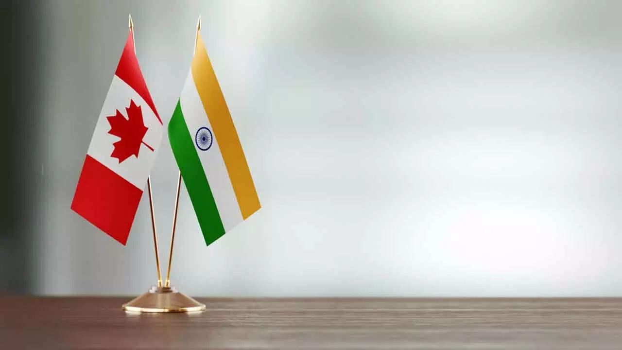 Fake Canada Visas: How to Avoid Costly Mistakes Fake Canada Visas: How to Avoid Costly Mistakes