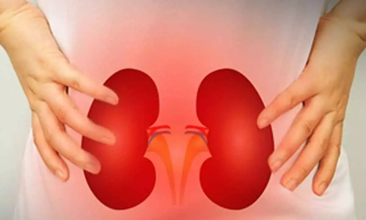PFAS Exposure Worsens Kidney Function: Study